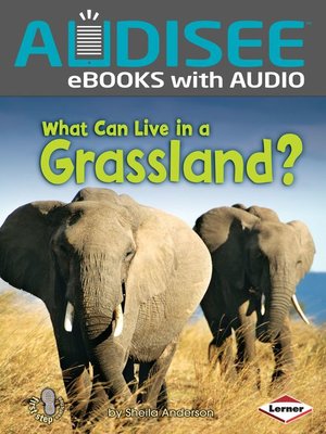 cover image of What Can Live in a Grassland?
